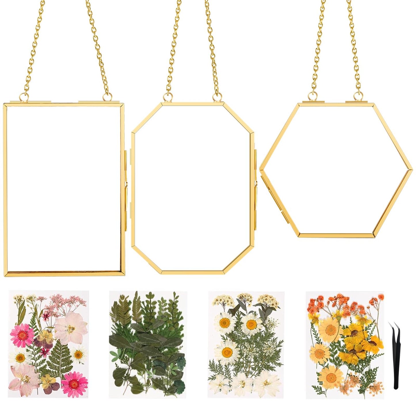 FOCHIER F 3pcs Pressed Flower Frames FC-US-Frames-T3-0108GoldHua
