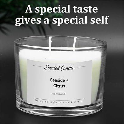 Premium 3-Wick Scented Candle 420g, Jar Aromatherapy Candle Birthday Gifts for Men and Women, Long Lasting 50H, Soy Wax Natural Essential Oil Blend for Home Office Spa (Seaside+Citrus)