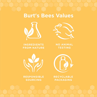 Burt's Bees for Pets Naturally Derived Oral Care Kit - Dog Dental Kit with Toothpaste & Bamboo Toothbrush - Dog Toothbrush and Toothpaste with Honeysuckle & Peppermint Oil, Fresh Mint Flavor (2.5 oz)