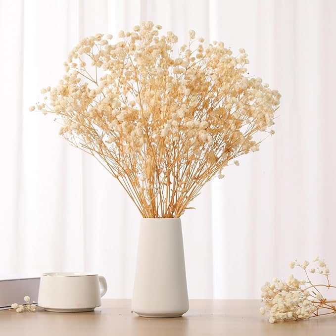 Babys Breath Dried Flowers Bouquet-17'' 2000+ Dry Flowers, Natural Gypsophila Branches for Wedding, Home Table Vase Decor, DIY Wreath Floral, Fall Thanksgiving Autumn Decoration (Ivory White, 2oz)