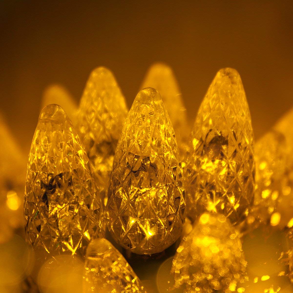 Wintergreen Lighting 24 ft 70 Count C6 Faceted Gold LED Christmas Lights, Green Wire Indoor/Outdoor Commercial Grade String for Holiday Decor