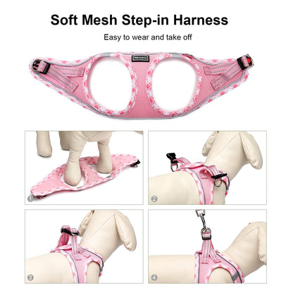 Mercano Soft Mesh Dog Harness and Leash Set, No-Chock Step-in Reflective Breathable Lightweight Easy Walk Vest Harnesses with Safety Buckle for Small Dogs, Cats (Pink, S)