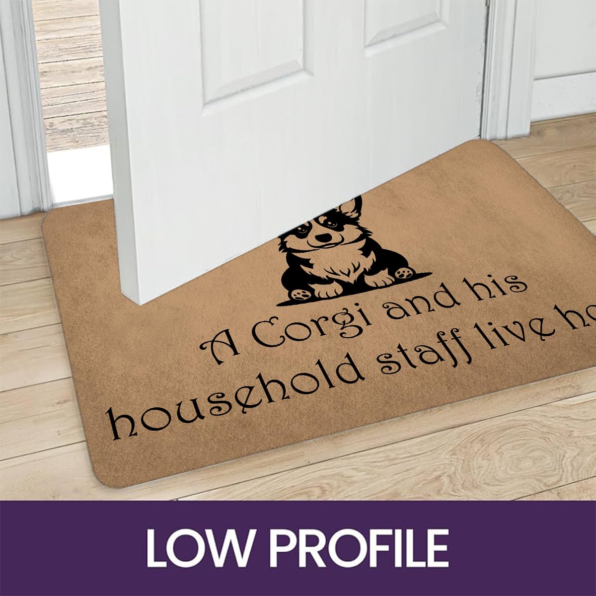 GXFC ZHAO Funny Welcome Doormats Decorative Area Rugs for Entrance Novelty Gift Mat Front Door Porch Patio Mats(23.7 X 15.9 in) (A Corgi and His Household Live Here Dog Lover)