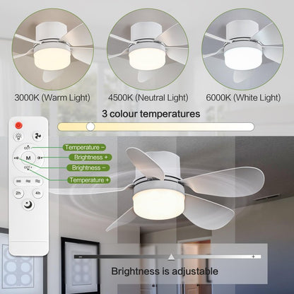 ASALL Socket Fan Light with Remote Control, Portable Small Ceiling Fan with Lights for Bedroom, Kitchen, Living Room, with Dimming Function, 1000 Lumens, Screws into E26/E27, 16.54 Inches Diameter