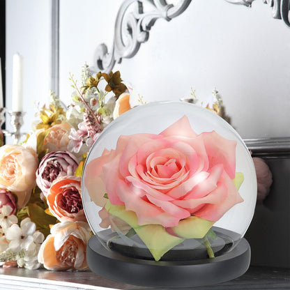 PATIKIL 4.1" Clear Cloche Glass Dome, Glass Bell Jar Globe Display Case Tabletop Centerpiece with Black Wooden Base for Succulents Christmas Decor