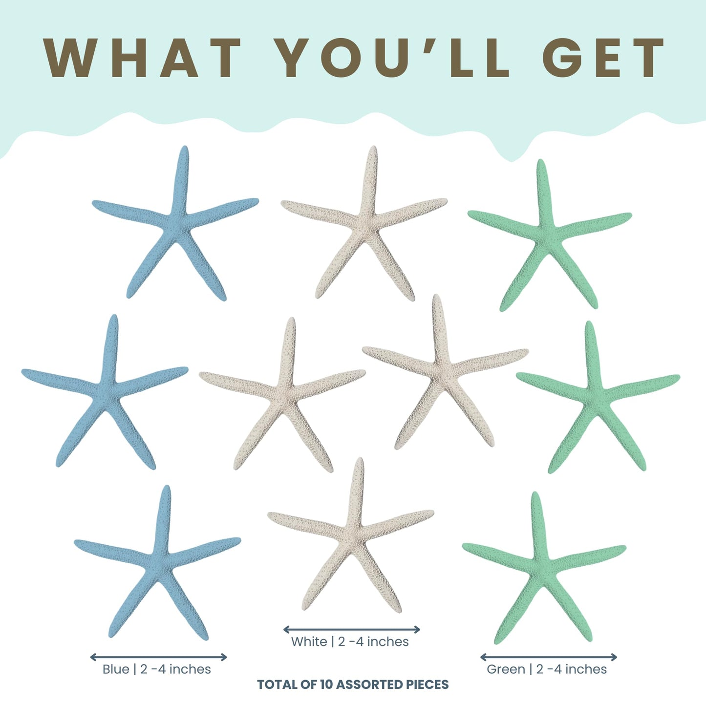 Starfish Decor - Star Fish for Craft - 10pk Real 2-4" Green Blue White Sea Stars - Beach Wedding Decor - Coastal Party Decorations