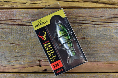 Catch Co Mike Bucca's Baby Bull Shad Swimbait 3.75" 1/2 oz Gizzard Shad