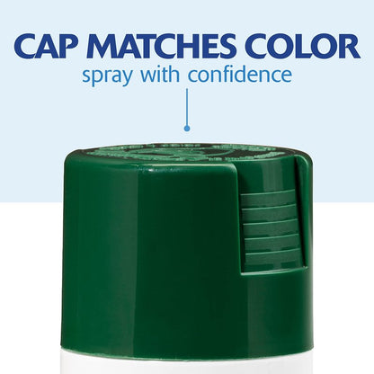 Rust-Oleum 334034-6PK Painter's Touch 2X Ultra Cover Spray Paint, 12 oz, Gloss Hunter Green, 6 Pack