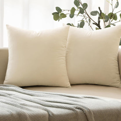 LANE LINEN Throw Pillow Insert - Pack of 2 16x16 Pillow Inserts for Decorative Pillow Covers, Throw Pillows Insert for Couch - White