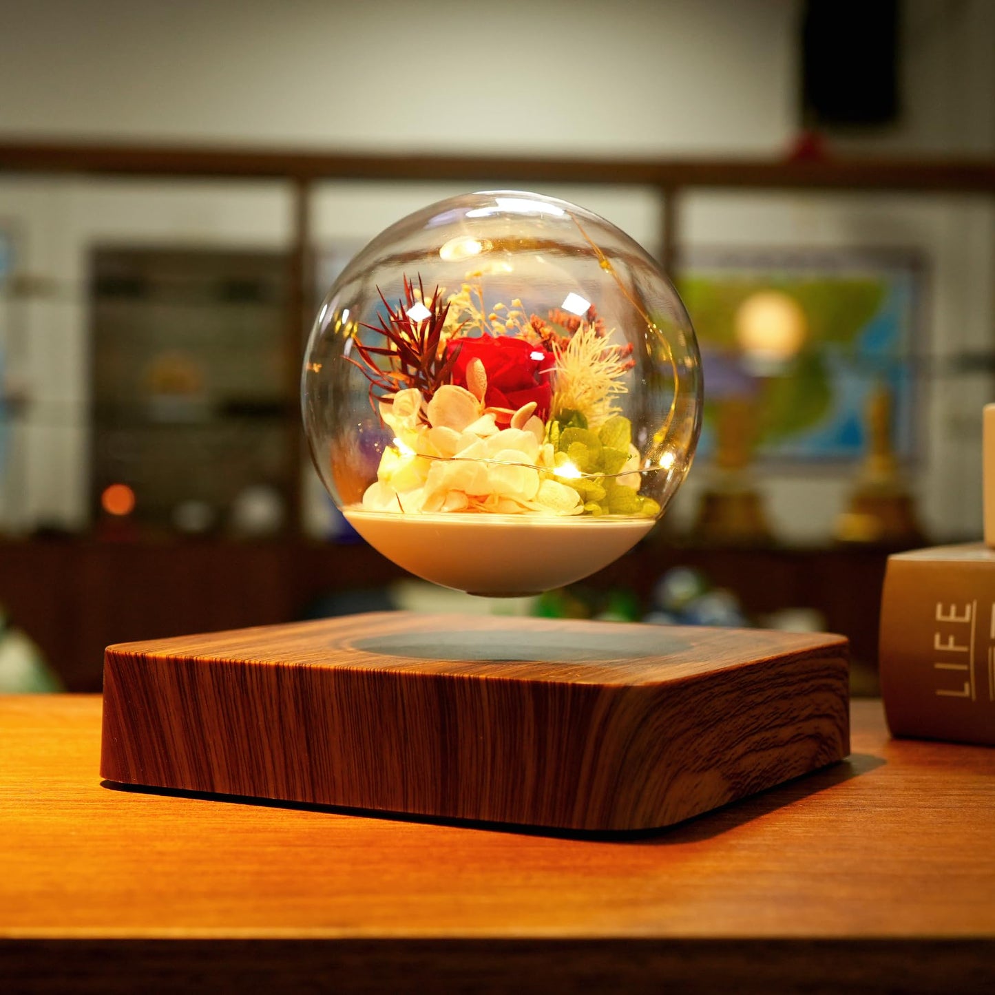 MAGECMOON Magnetic Levitation Preserved Flower, Forever Real Eternal Roses, Floating Lamp Levitating LED Light Bulb, Gifts for Kids Lover Friends (Dark Brown Base, 5.5"*5.5" (Plastic))