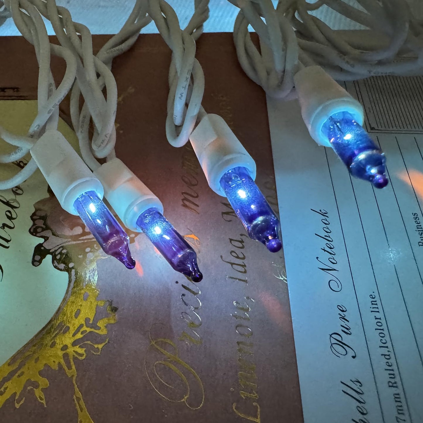 HISHINY Christmas Lights 100 Count Blue Christmas Tree String Lights with White Wire for Outdoor Indoor Christmas Decorations Wedding Decorations Valentines Day Decor,UL Certified (21feet)