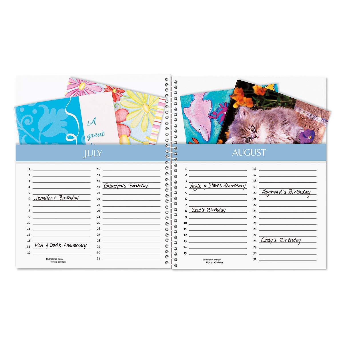 Current Cool Floral Greeting Card Organizer Book with 14 Pockets - Birthday & Anniversary Reminder Book - Softcover 8" x 10" Spiral-Bound, 6 Address Pages, 2 Gift Information Pages