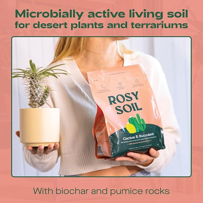 Cactus and Succulent Organic Potting Soil Mix for House Plants - Fast Draining, Root Boosting, Peat-Free, Less Prone to Gnats - Drought-Tolerant - Growth of Aloe Vera, Cacti and Indoor Succulents- 4qt