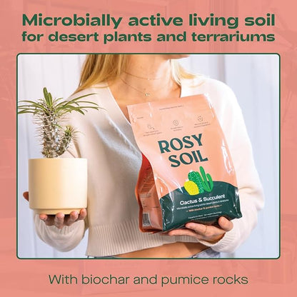 Cactus and Succulent Organic Potting Soil Mix for House Plants - Fast Draining, Root Boosting, Peat-Free, Less Prone to Gnats - Drought-Tolerant - Growth of Aloe Vera, Cacti and Indoor Succulents- 4qt
