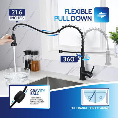 Kitchen Faucet with Pull Down Sprayer, High Arc Single Handle Stainless Steel Kitchen Sink Faucet with Sprayer for Rv Camper, Matte Black
