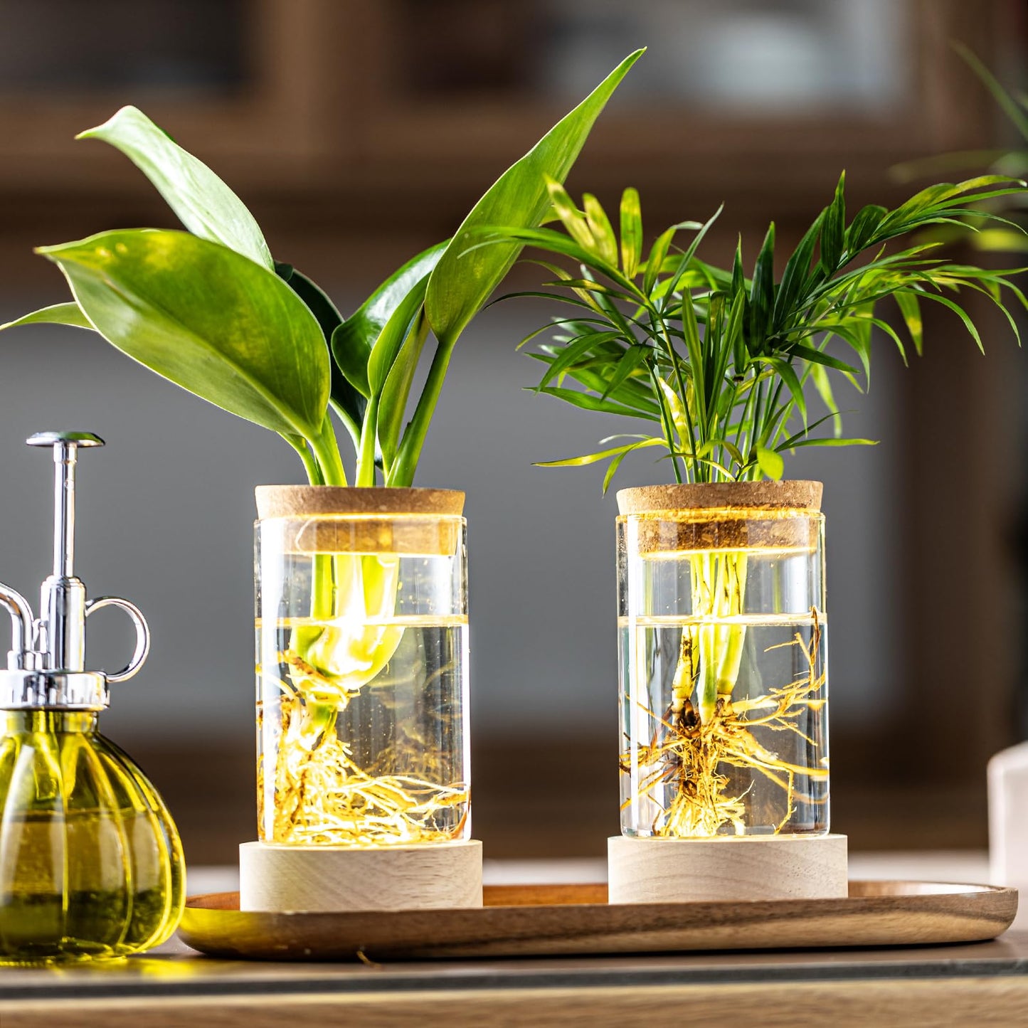 Glass Plant Propagation Stations, Propagation Vases for Plants with Ambient Light Base, Hydroponic Vase for Home & Office Windowsill Tabletop Decoration Desktop Vases for Living Room, Bedroom (6)