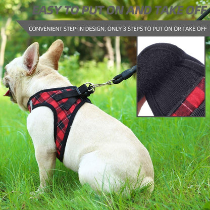 PINA Dog Harness for Small Dogs No Pull, Small Dog Harness and Leash Set, No Choke Breathable Mesh Dog Vest Harness, Lightweight Adjustable Small Medium Dog Harness - Easy to Put On and Take Off