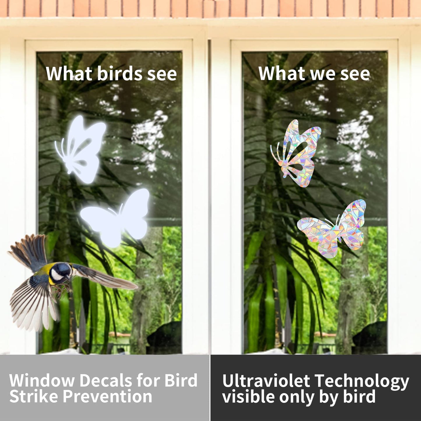36 Pieces Window Decals for Bird Strikes, Window Clings Prevent Birds from Hitting Windows Suncatcher Stickers（Bird, Butterfly, Feather, Leaf