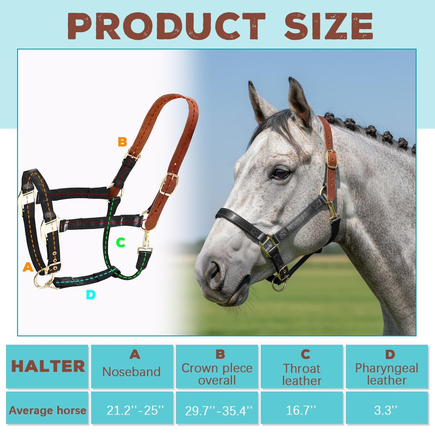 Yeyeplum Leather Halter for Horses, Equine Breakaway Nylon Rope Horse Halter with Snap & Adjustable Chin and Throat Snap Hook Halters for Training, Show and Daily Use, Average Size(Black Brown)