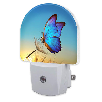 sndheke Blue Butterfly and Dandelion Night Light Plug into Wall, Butterfly in The Sunset Dusk to Dawn Night Light,0.5w Energy Saving Sleep Friendly Nightlights for Kids Boys Girls Home Decor