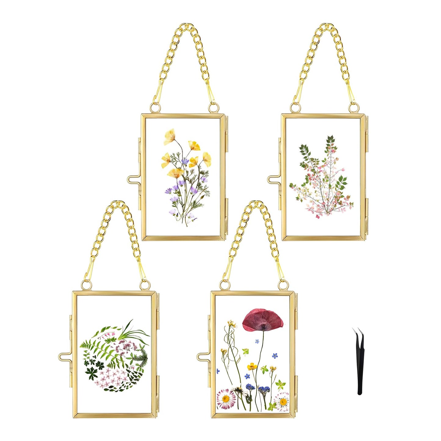 FOCHIER F 4 Pcs Pressed Flower Frame with Tweezers, Wall Hanging Tabletop Display Double Glass Frames with Metal Chain for Pressed Dried Flowers Plants, Horizontal and Vertical Picture Frame, Gold, FRAMES ONLY