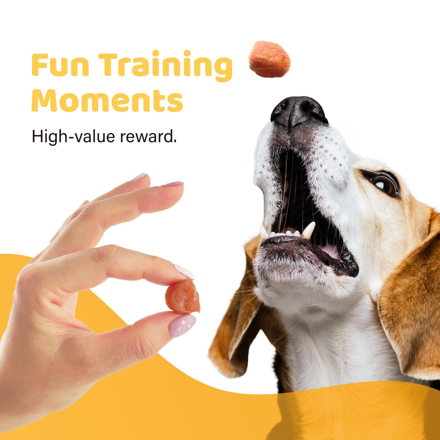 iPaw Turkey Tots Dog Treats for Puppy Training, SQF Certified Human Grade Dog Treat, Hypoallergenic, Easy to Digest (Turkey Tots)