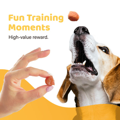 iPaw Turkey Tots Dog Treats for Puppy Training, SQF Certified Human Grade Dog Treat, Hypoallergenic, Easy to Digest (Turkey Tots)