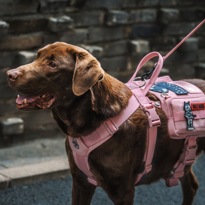 OneTigris Service Dog Vest Harness, Service Dog Cape Guardian Dog Backpack Harness with Pouches Dog Saddle Bag for Small Medium and Large Dogs (Pink, M)