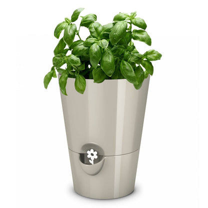 Poétic/Emsa Herb Pot for Fresh Herbs, Self-Watering, Water Level Indicator, Diameter 14 cm, Height 18 cm, Silk Grey, Fresh Herbs
