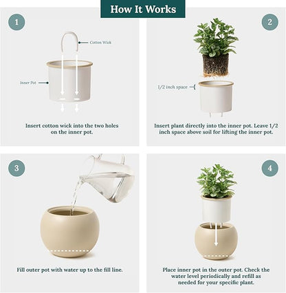 Self Watering Plant Pot | 7 Inch Ceramic Indoor Planter Pot with 4.25 Inch Opening | Ivory Pot for Indoor Plants | Round Self Watering Planter | Neutral Home Decor
