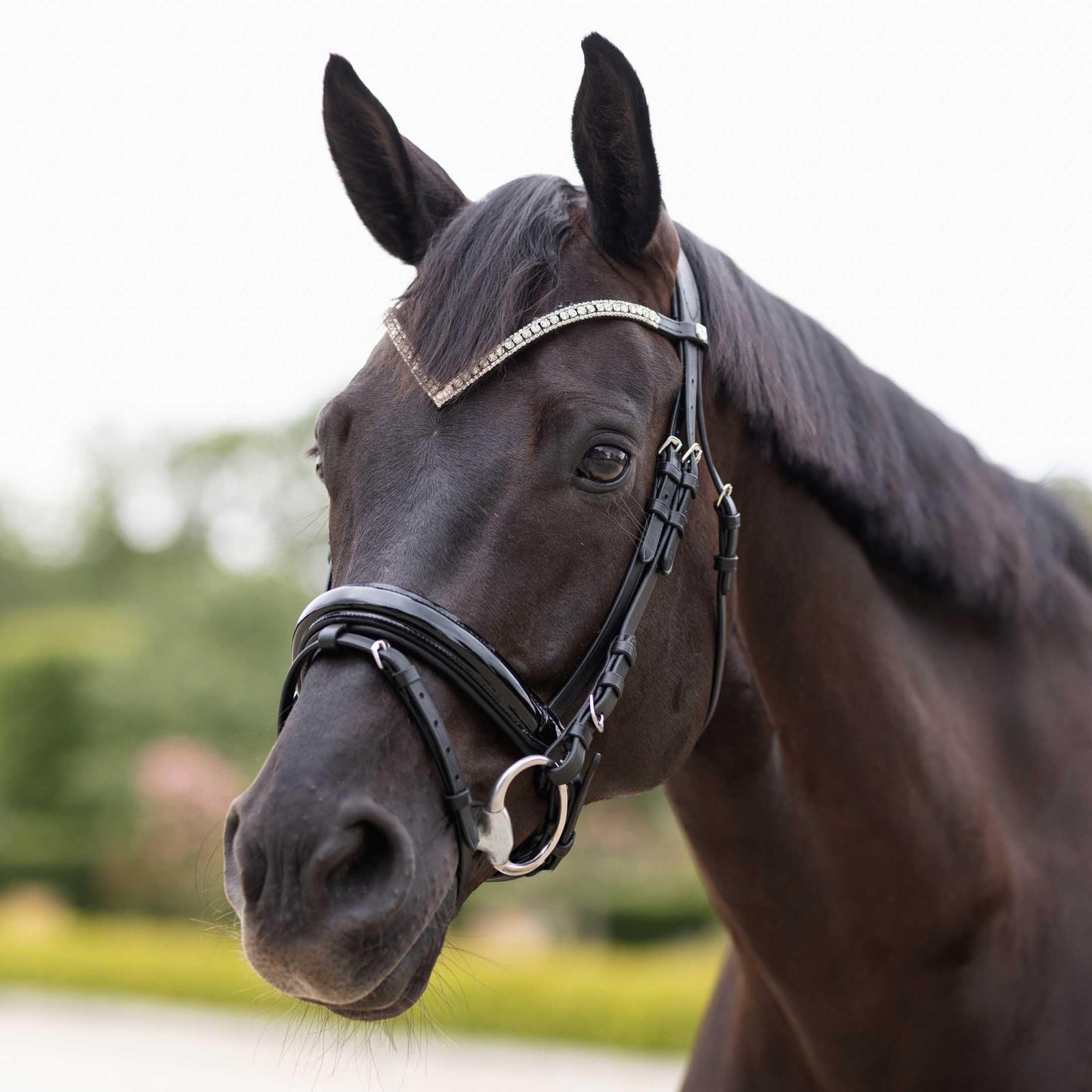 HORZE Grayson Classic Leather Ergonomic Snaffle Dressage Bridle with Detachable Flash - Black - Cob