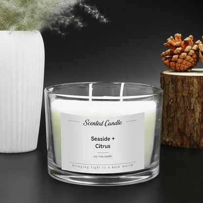 Premium 3-Wick Scented Candle 420g, Jar Aromatherapy Candle Birthday Gifts for Men and Women, Long Lasting 50H, Soy Wax Natural Essential Oil Blend for Home Office Spa (Seaside+Citrus)