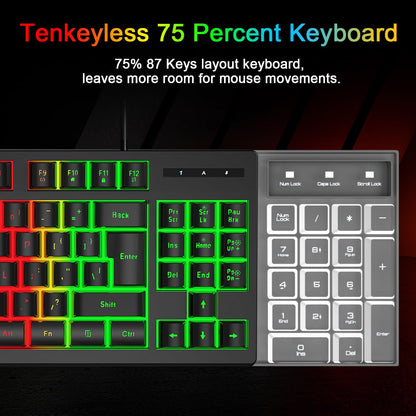 BlueFinger RGB 87 Keys Gaming Keyboard and Backlit Mouse Combo, 75% USB Wired Rainbow Keyboard, Gaming Set for Laptop PC Computer Game and Work