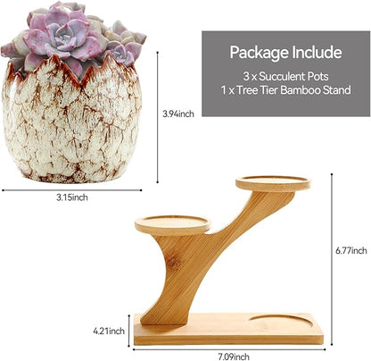 YYW Succulent Planter Pots Indoor Ceramic Decoration Cactus Small Flower Plant Pot with Tree Tier Bamboo Stand for Garden Kitchen Home Office Decor Plant Lovers Gifts 3Pcs