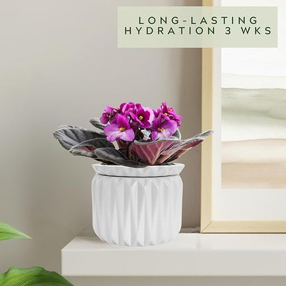 6 inch Self Watering Pot for Indoor Plants, African Violet Pot Ceramic, Flowers Planter (4 inch Opening), Holds 3 Weeks of Water (2 Pack White)