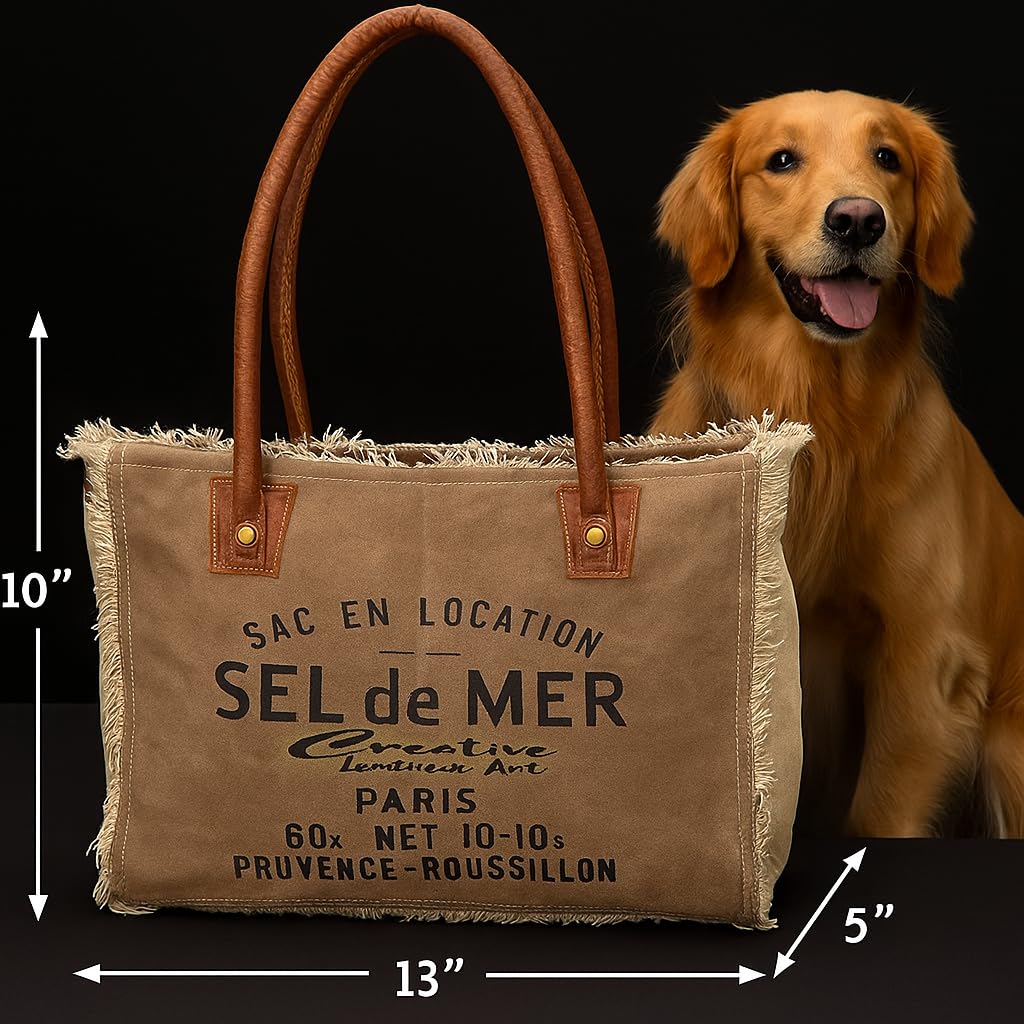 Sel de Mer Canvas Tote Bag for Women with Leather Handles, Shoulder Bag, Casual Everyday Purse, Beach, Travel, Shopping Bag (Khaki, 13 x 10 Inch)