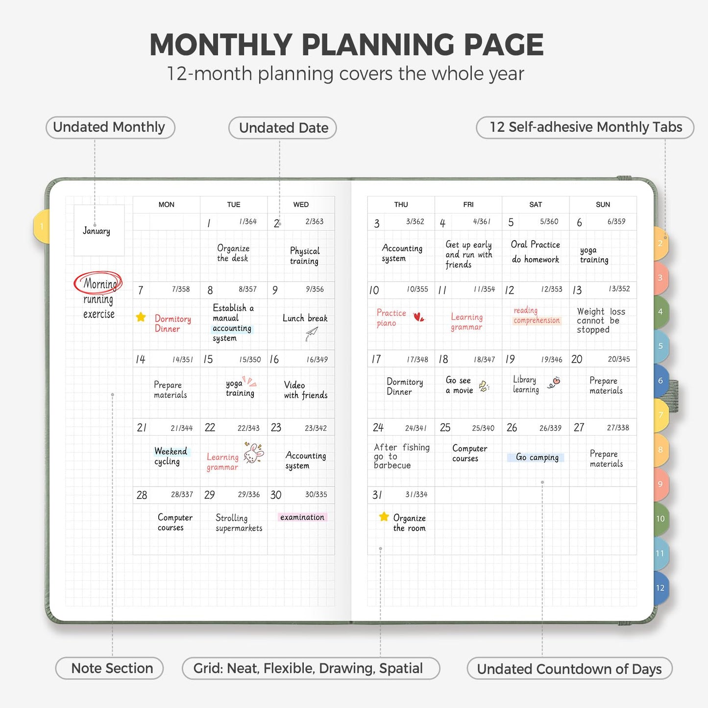 LOAPEM Undated Appointment Book, Hourly, Daily, 52 Weekly & 12 Monthly Planner, 6 AM - 8 PM, Medium Size (5.7" x 8.3"), Leather Hardcover, 12 Self-adhesive Monthly Tabs (Light Green)