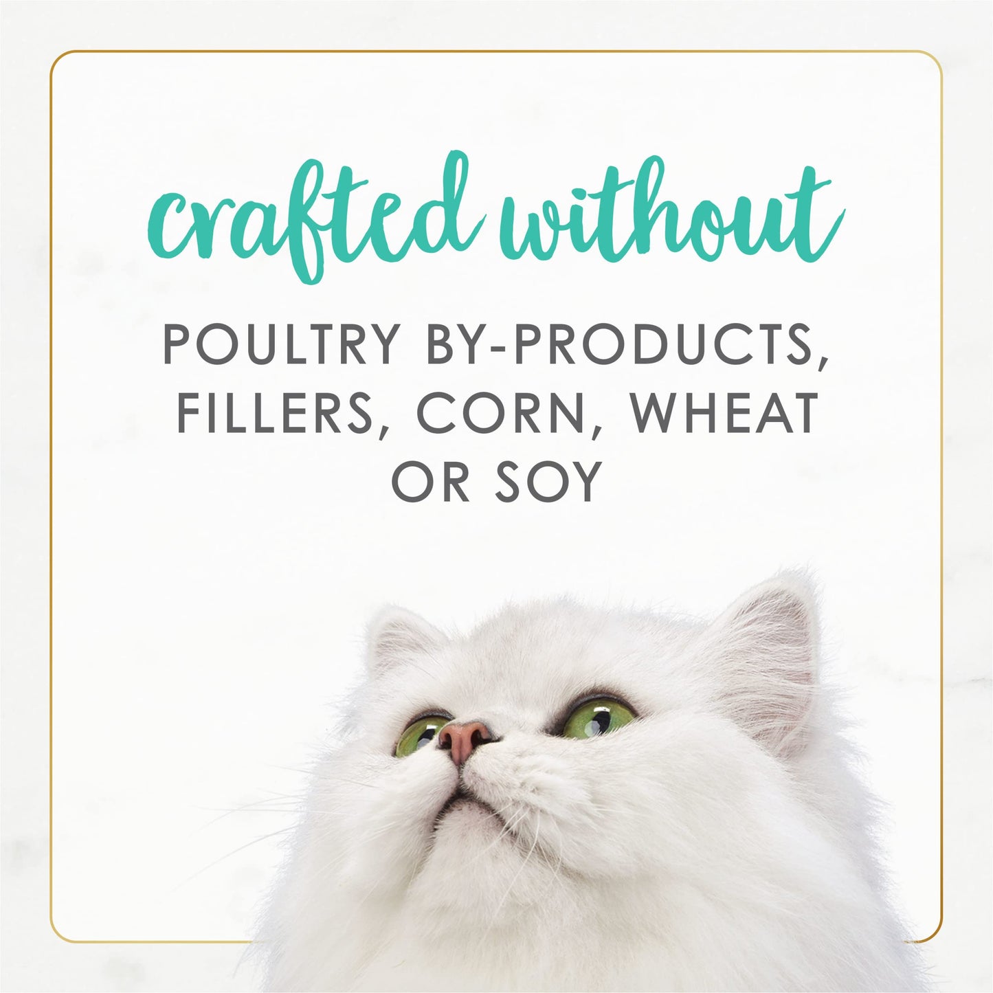 Purina Fancy Feast Wet Cat Food Pate Gourmet Naturals Ocean Whitefish Recipe - (Pack of 12) 3 oz. Cans