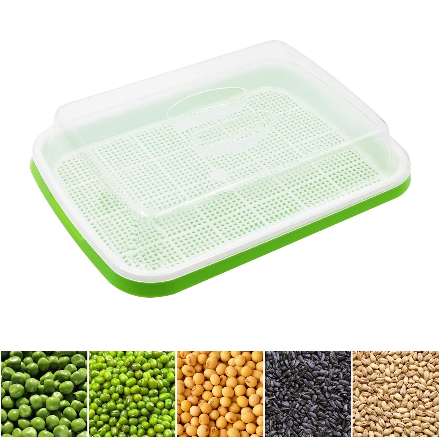 5 Layers Seed Starter Kit - Seed Sprouter Trays with Clear Lid & Stainless Steel Shelf, Soil-Free Germination Trays for Indoor/Outdoor Microgreens, Wheatgrass Mung Beans Cat Grass & Seedling Growing