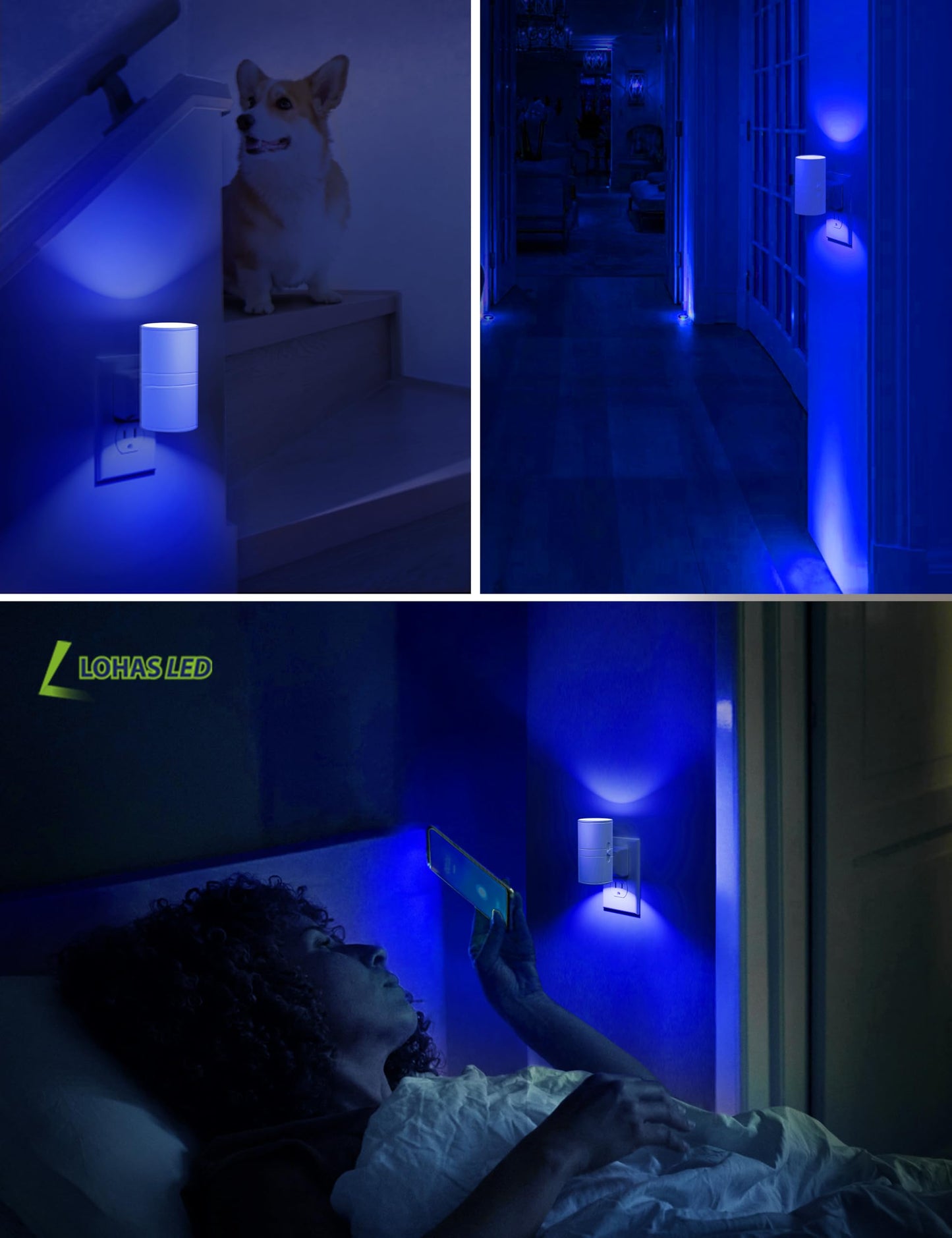 L LOHAS LED Night Light, Blue Night Lights Plug into Wall, Light Sensor, Dimmable Night Light, Calm Blue Nightlights for Home Decor, Party, Holiday, Bedroom, Hallway, Bluey Bathroom Decor, 2 Pack