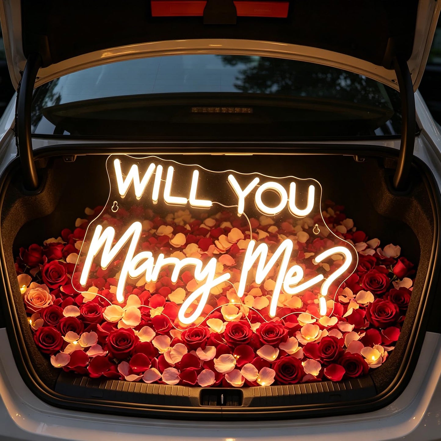 QiaoFei Led Will You Marry Me Neon Sign Word/Letters USB with Dimmer Switch Neon Lights for Room Decor Wedding Engagement Wall Hanging Decoration (Warm white)