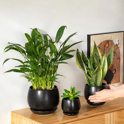 vancasso 3-Pack Ceramic Plant Pots, 3.7/4.8/6.2 Inch Indoor Planters with Saucers & Drainage Hole Planter pots for Indoor Plants and Flower, Black