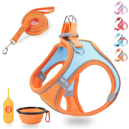 LMOBXEVL Small Dog Harness,Puppy Harness and Leash Set for Walking Escape Proof,Comfortable Air Mesh Dog Vest Harness with Reflective Strip, Step-in Outdoor Pet Vest for Dog Breeds