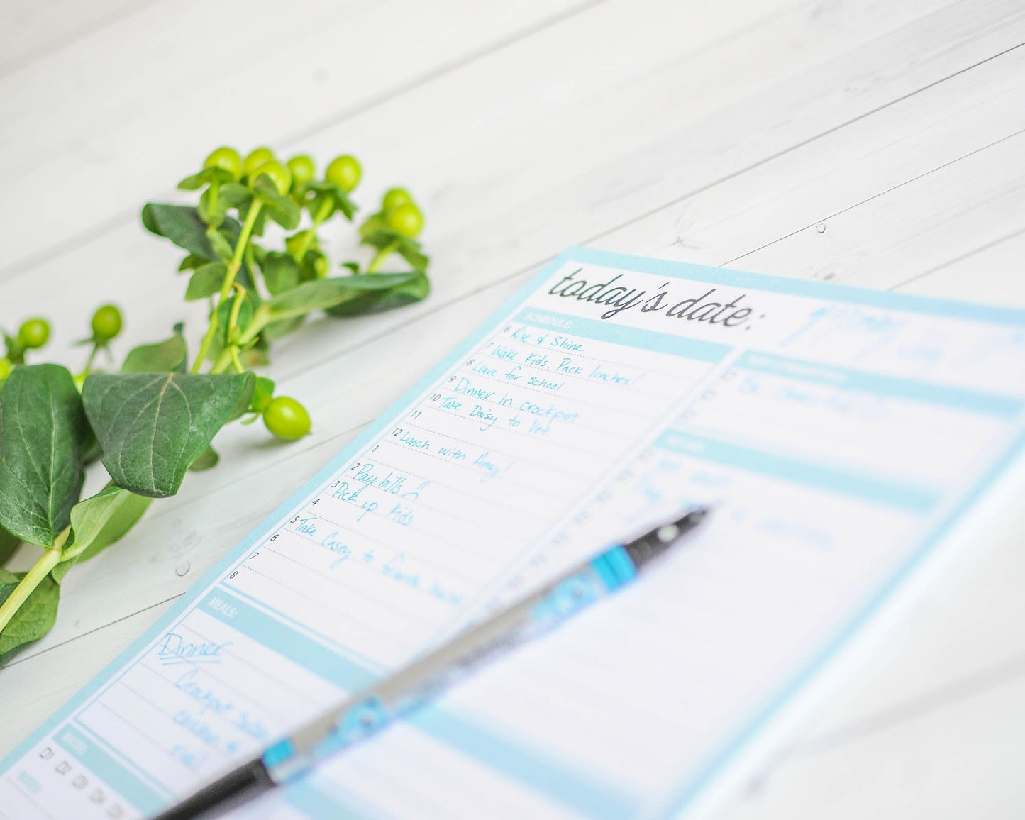 JULIANNE & CO Daily To-Do Undated Tear-Away Planner Notepads - Premium Personal Organizer for Home, Office, Work, School - 50 Pages for Daily Tasks, Notes, Water Intake and Meal Prep (8.5 x 11)