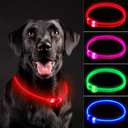 NOVKIN LED Dog Collar, Rechargeable Light Up Dog Collars,IP67 Waterproof Dog Lights for Night Walking，Adjustable, Reusable Safety Necklace for Small Medium Large Dogs (Red)