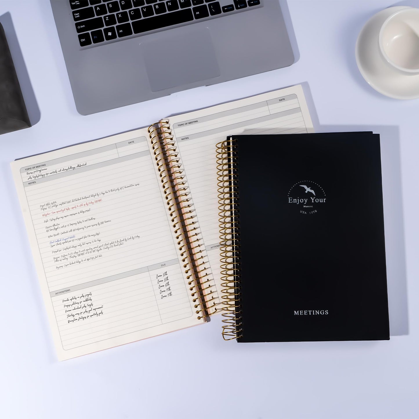 FLYING EGALE Meeting Notebook,8.5"x11" Professional Notebooks for Work - 240 Pages, A4 Size Project Planner, Spiral Meeting Agenda Organizer for Women Men, Large journal for Note Taking, Black