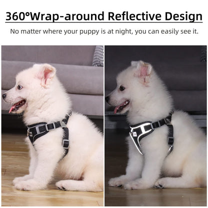 rennaio Dog Harness No Pull, Adjustable Puppy Harness with 2 Leash Clips, Ultra Breathable Padded Dog Vest Harness, Reflective Dog Harness and Leash Set for Small and Medium Dogs (Black, XL)