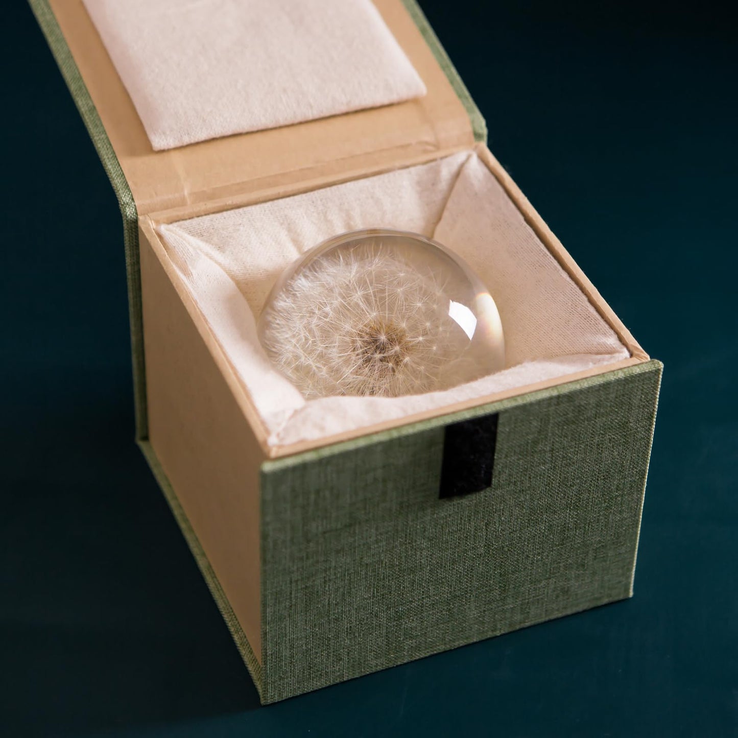 Paperweight Dandelion Dream Ball. Crystal Wishing Ball. Unique Paperweight Made of Dandelion. Gift for Women Men (Mom, Dad, Teacher), Birthday, Wedding, Valentine's Mother's. (9CM)