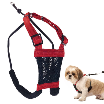 Sporn No Pull Dog Harness for Small-Sized Dogs - Red Mesh, Heavy Duty Nylon, Breathable, Lightweight, Adjustable, Padded, Soft & Easy, Anti-Pull & Anti-Rub Body Halter, Small Dog Harness for Puppies