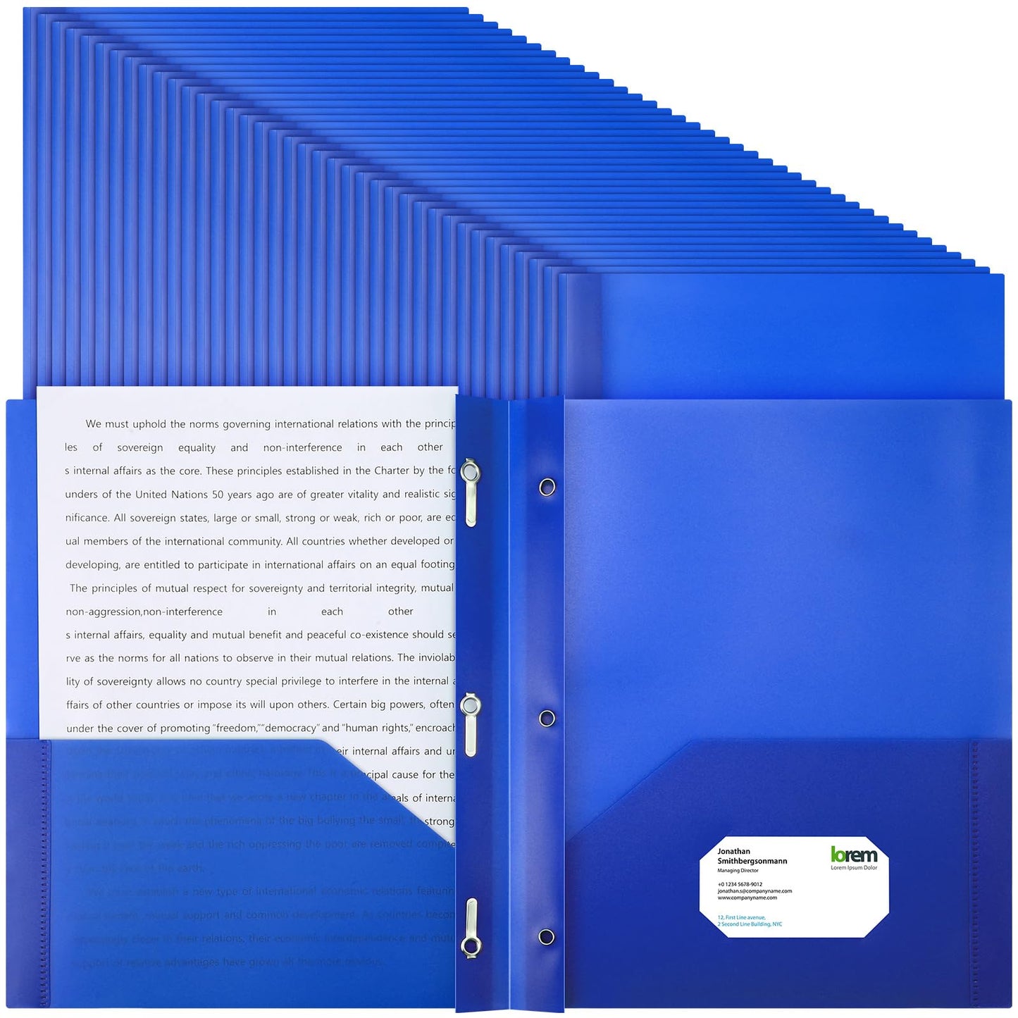 Patelai 48 Pcs Plastic Folders with 2 Pockets and 3 Prongs Home Folders with Card Slot Letter Size Heavy Duty Report Covers for Back to School(Blue,Classic)